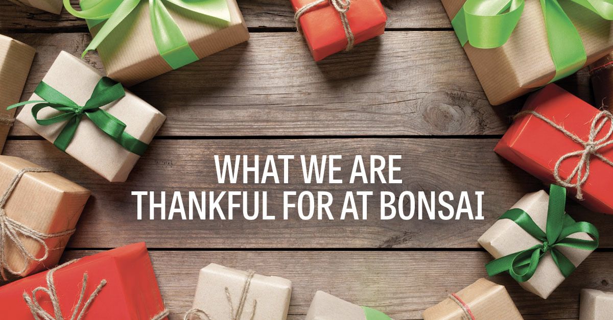Bonsai Media Group Thanksgiving Seattle WA